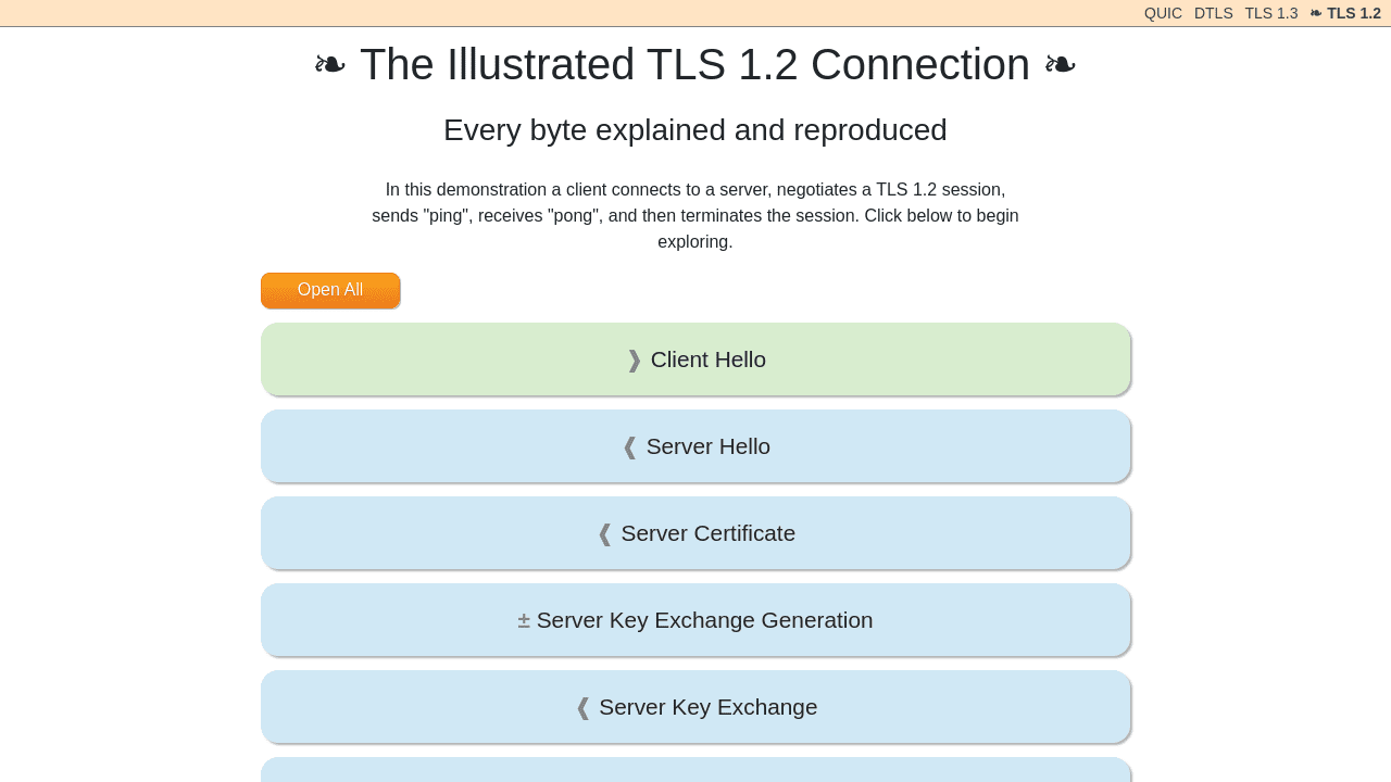The Illustrated TLS Connection: Every Byte Explained