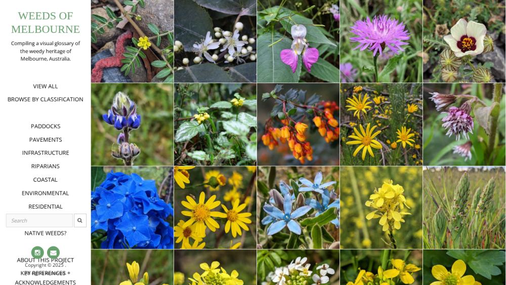 Weeds of Melbourne – Compiling a visual glossary of the weedy heritage of Melbourne, Australia.