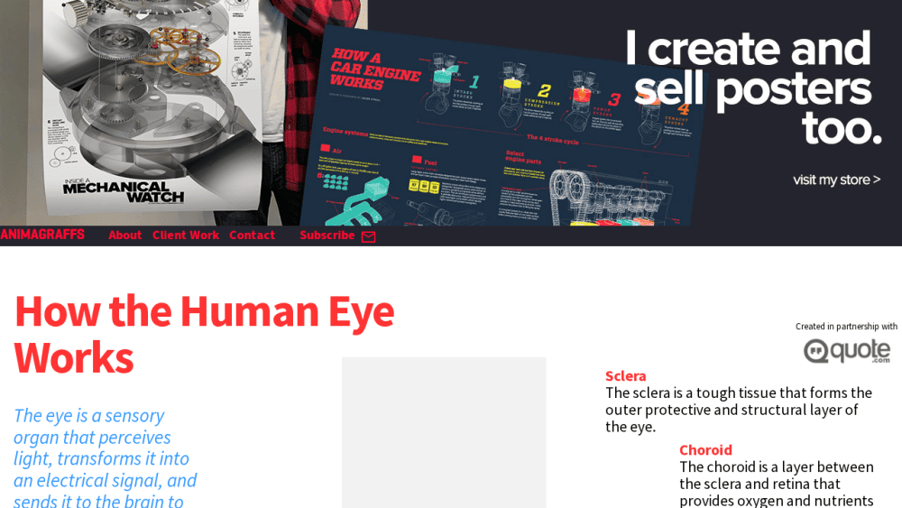 How the Human Eye Works - Animagraffs