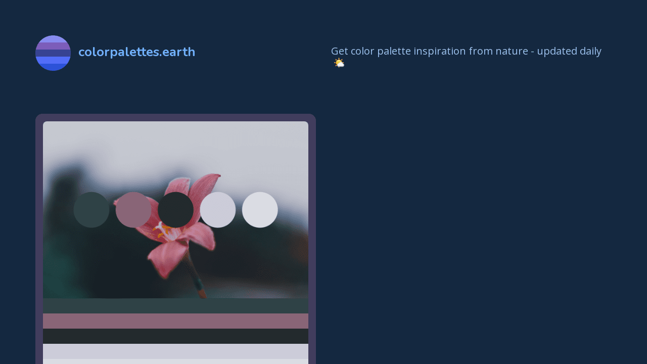 colorpalettes.earth