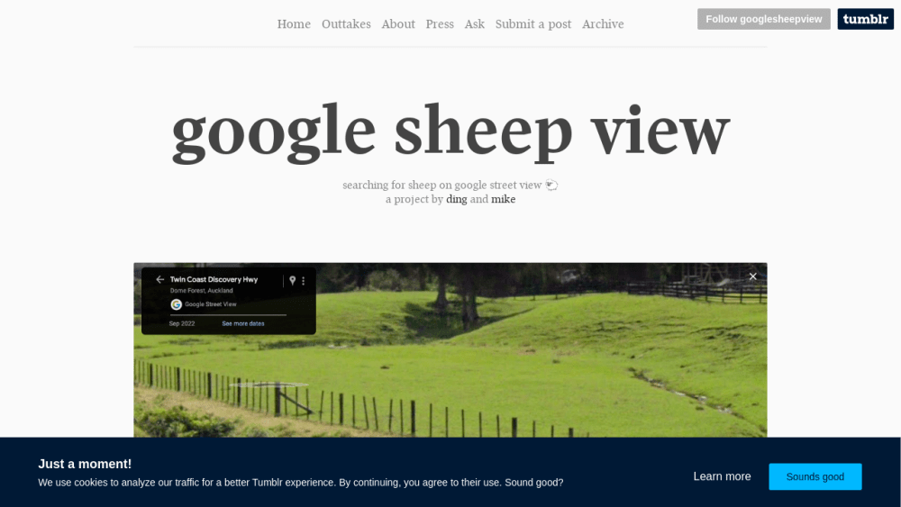 google sheep view
