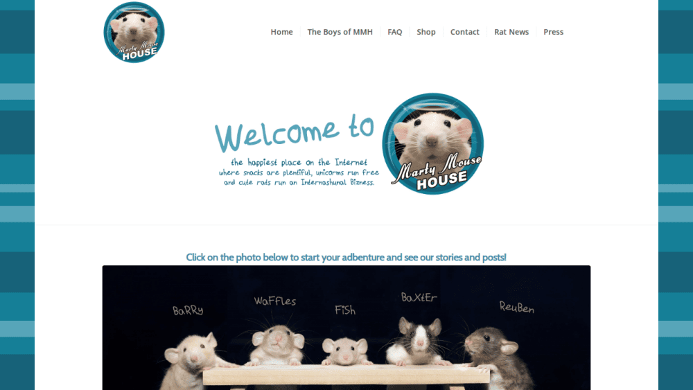 Marty Mouse House – The Happiest Place on the Internet