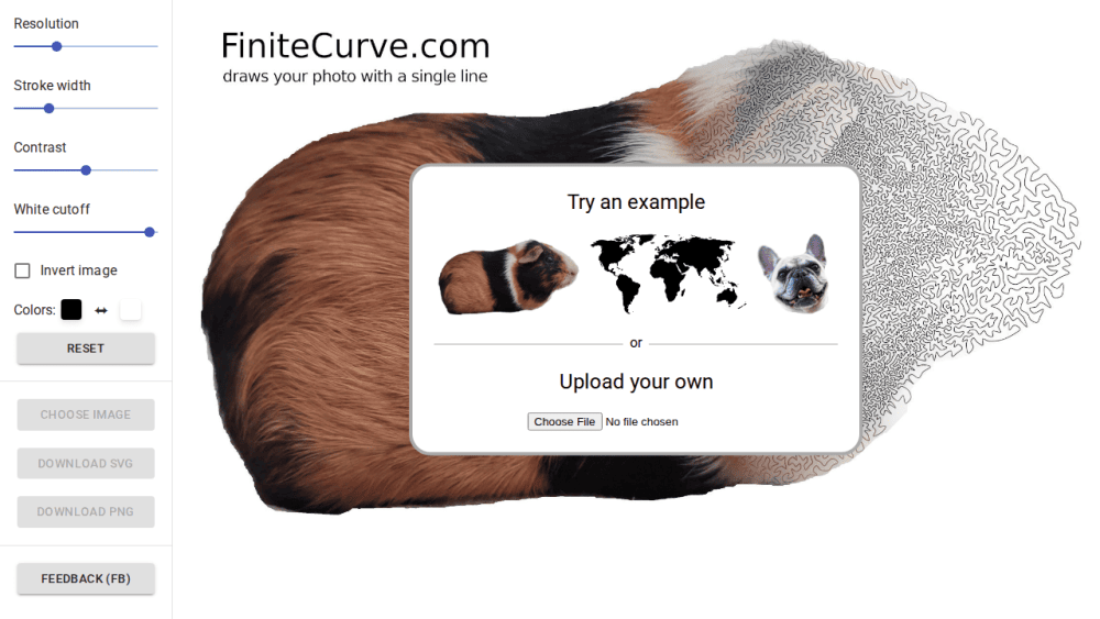 FiniteCurve - Your photo drawn with a single line