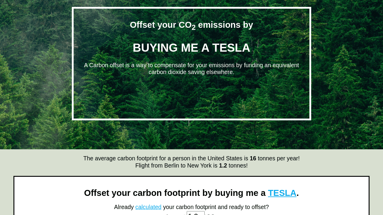 Offset your CO2 emissions - buy me a Tesla