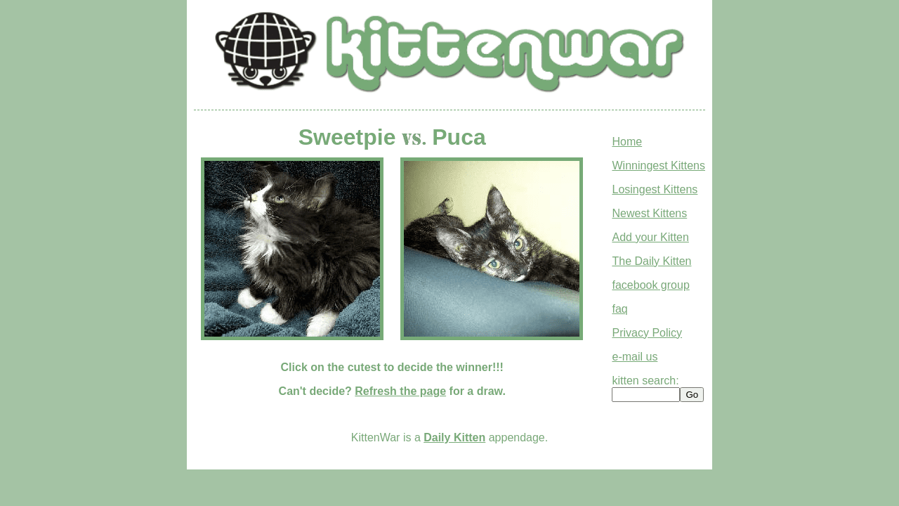 Kittenwar! May The Cutest Kitten Win!