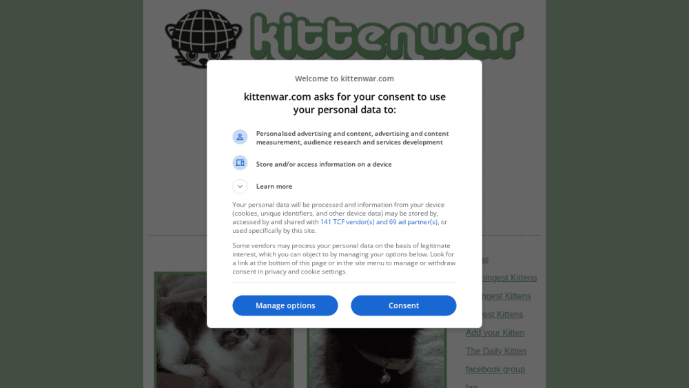 Kittenwar! May The Cutest Kitten Win!
