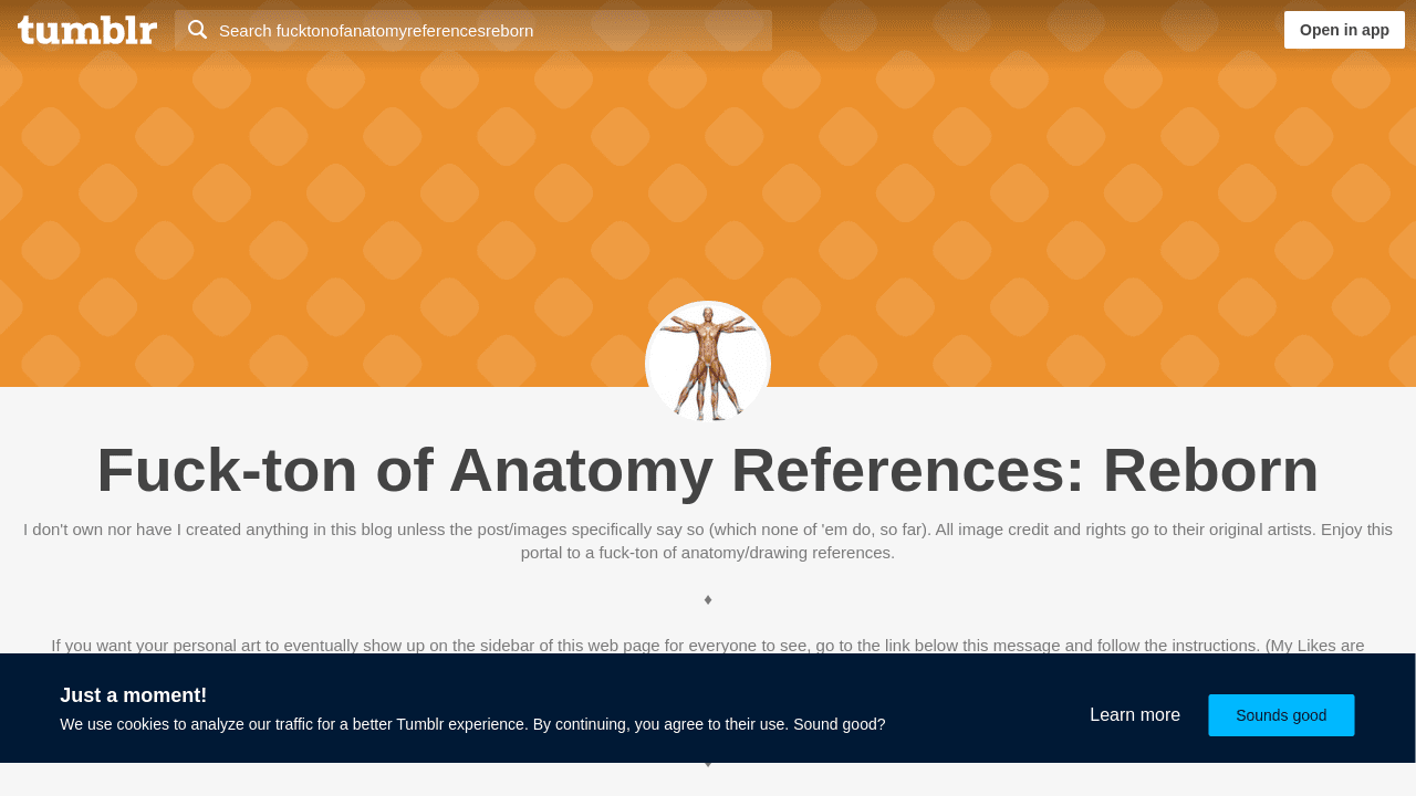 Fuck-ton of Anatomy References: Reborn