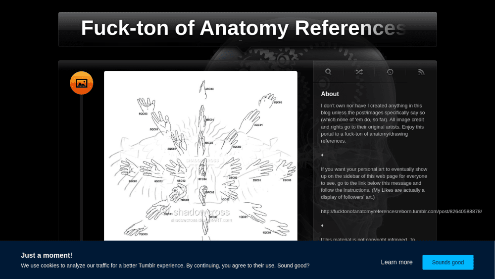 Fuck-ton of Anatomy References: Reborn