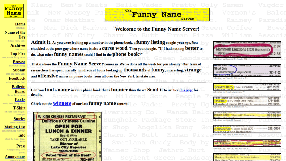 The Funny Name Server