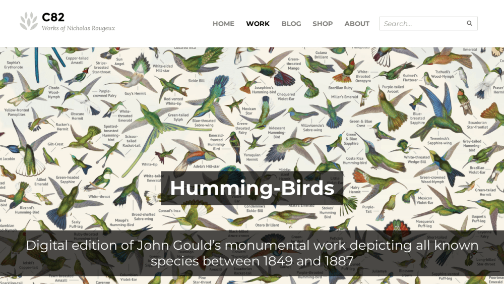 Humming-Birds - C82: Works of Nicholas Rougeux
