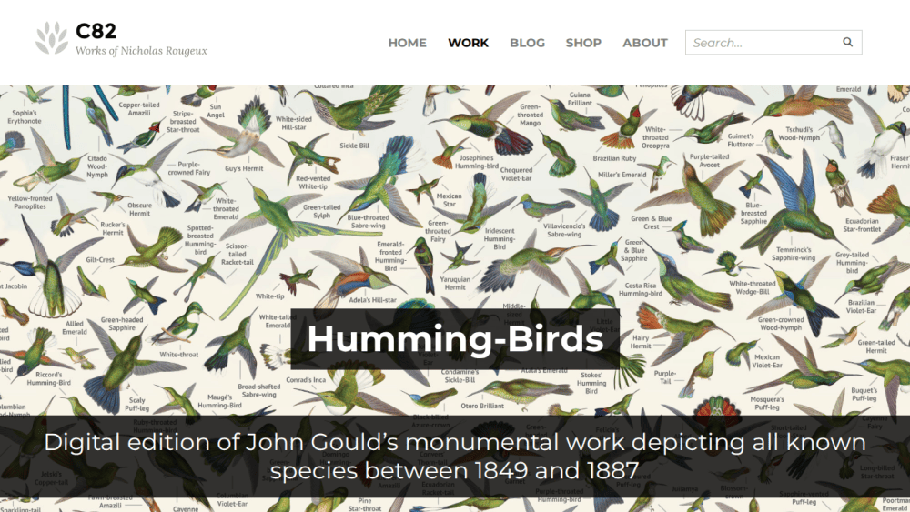 Humming-Birds - C82: Works of Nicholas Rougeux