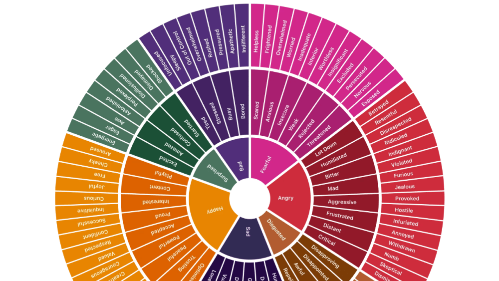 Feelings Wheel