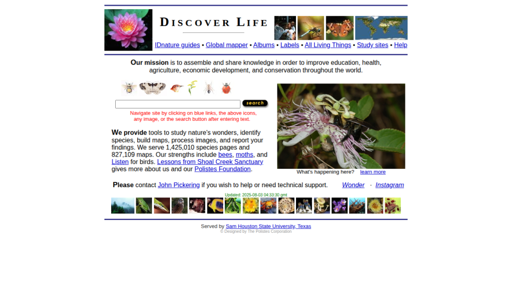 Discover Life