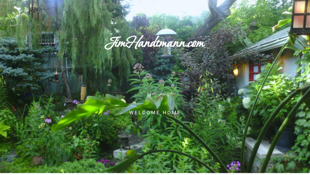 Jim Handtmann Homepage